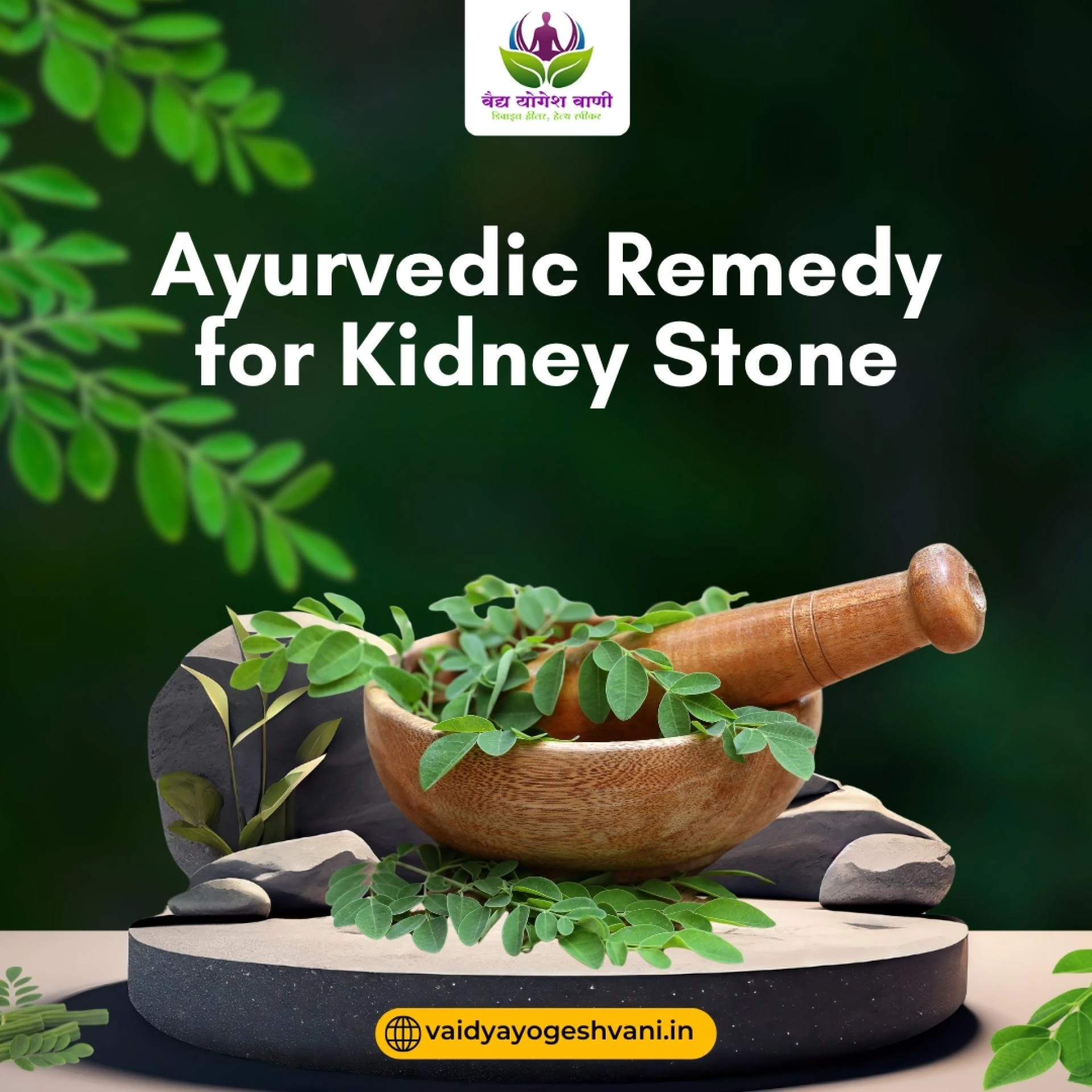Which is the Best Ayurvedic Doctor for Kidney Stone Removal