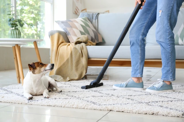 How to Keep Your Home Clean When You Have Pets
