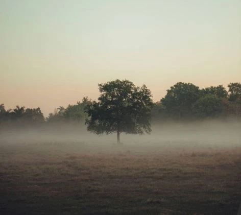 How to Find the Rightful Owners of Abandoned Homes in London 