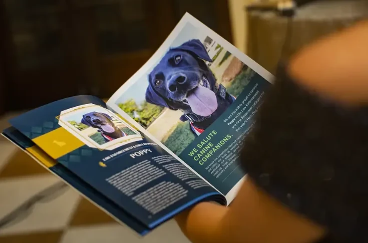 Why Custom Brochure Printing Still Works in the Digital Age