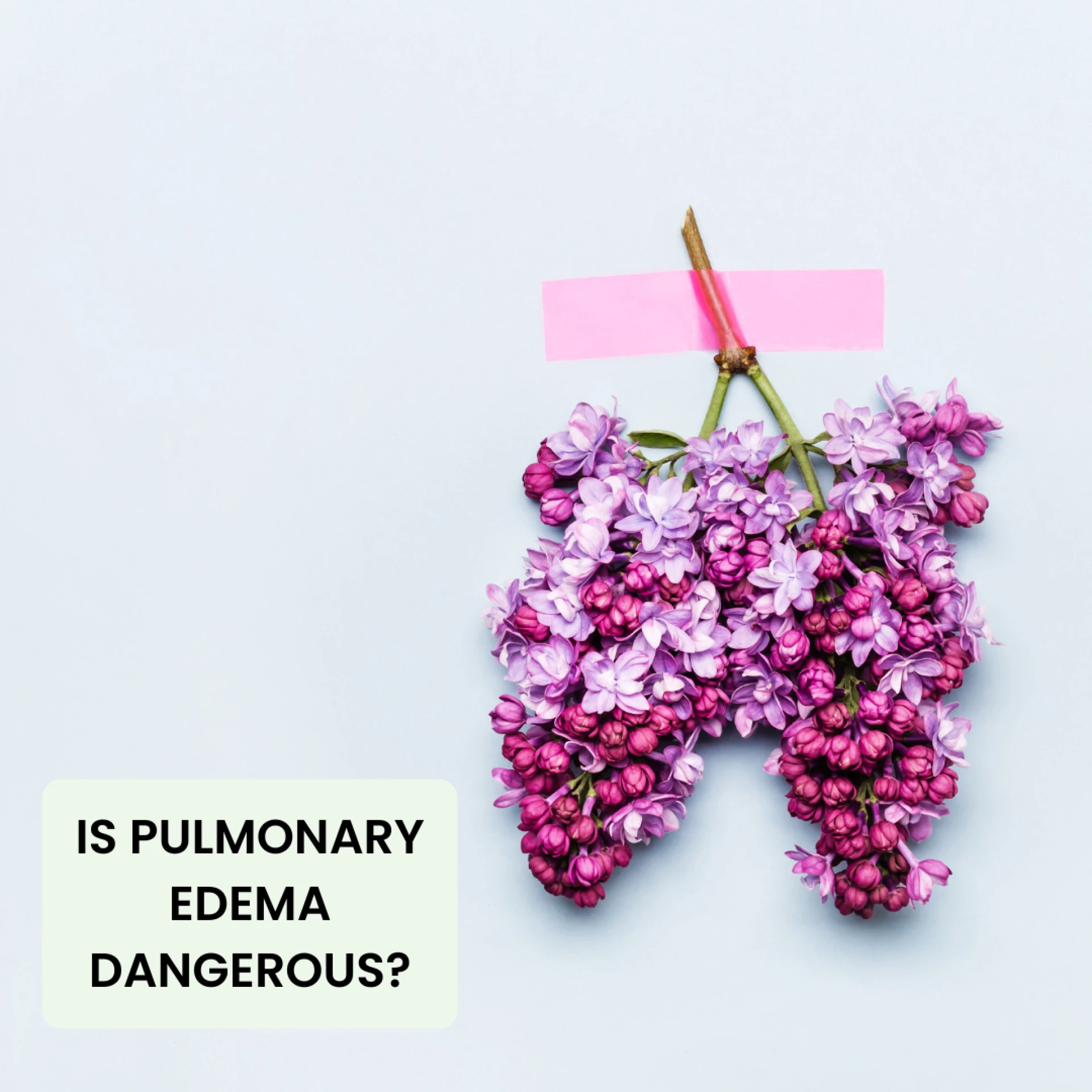 Is pulmonary Edema Dangerous? Pulmonary Treatment in Delhi