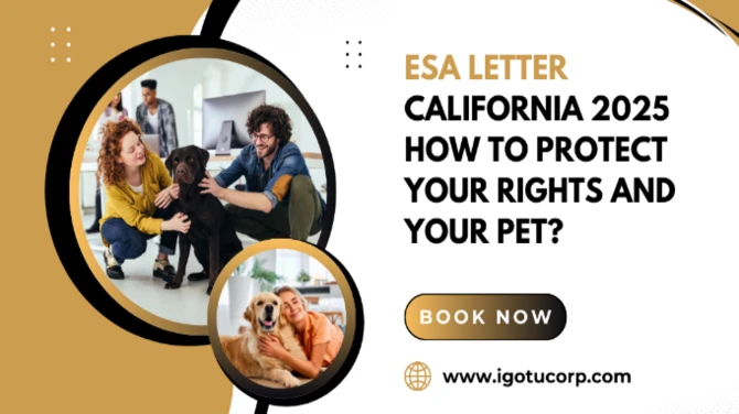 ESA Letter California 2025: Full Guide to Get Yours Online