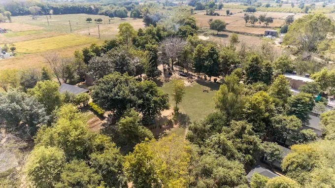 Exploring Ranthambore in the Monsoon - Safari Zones & Essential Travel Tips