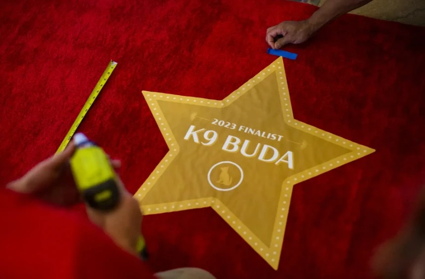 How Floor Decals for Events Enhance Guest Experience and Brand Visibility