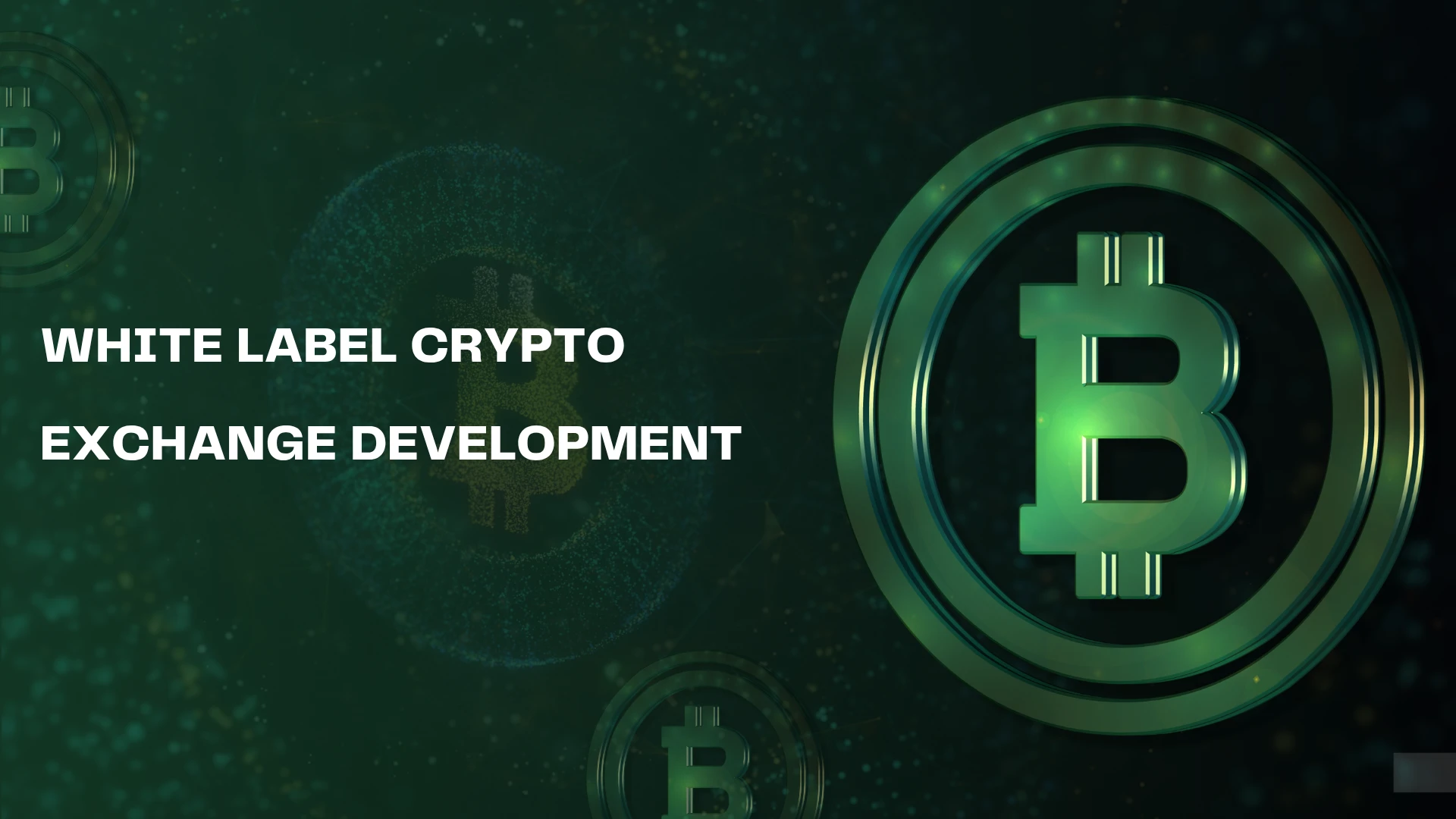 How White Label Solutions are Transforming Crypto Exchange Launches