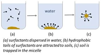 The Essential Role of Surfactants in Everyday Cleaning