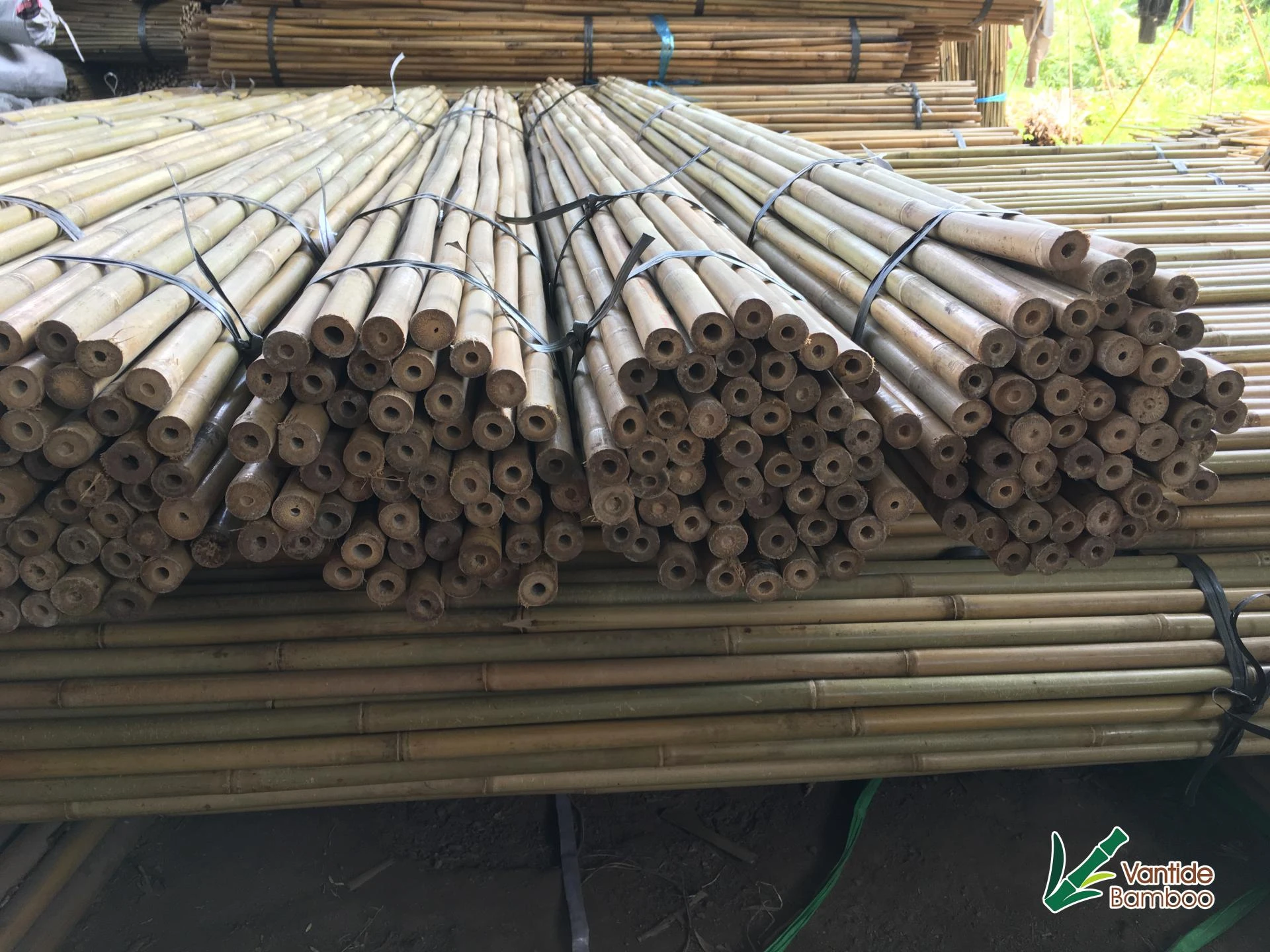 Top 5 Uses of Fiberglass vs Bamboo Plant Stakes