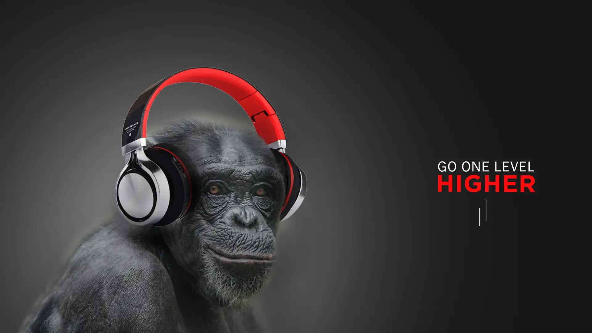 How Data-Driven Creativity Sets This Ad Agency in Bangalore Apart