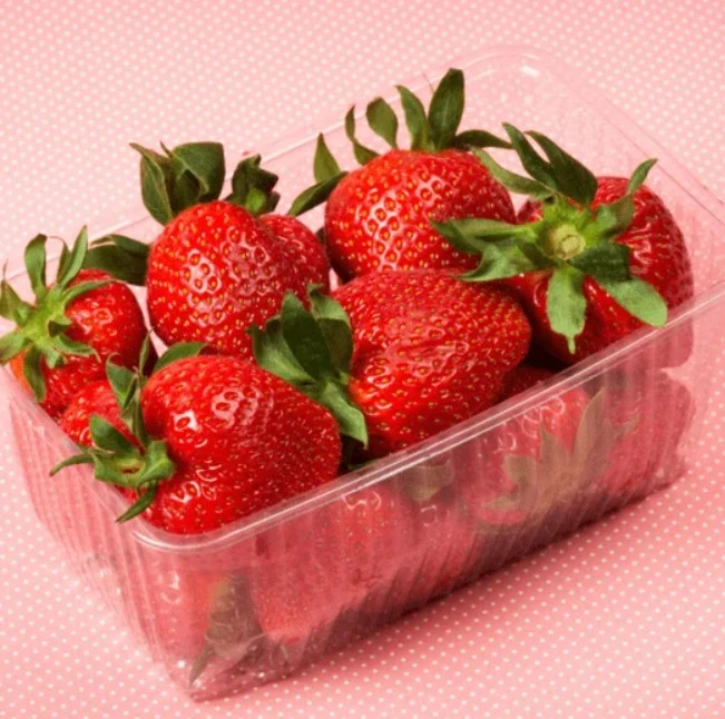 India’s Agri-Tech Surge: Strawberry Farming and Lab Innovation Leading the Way