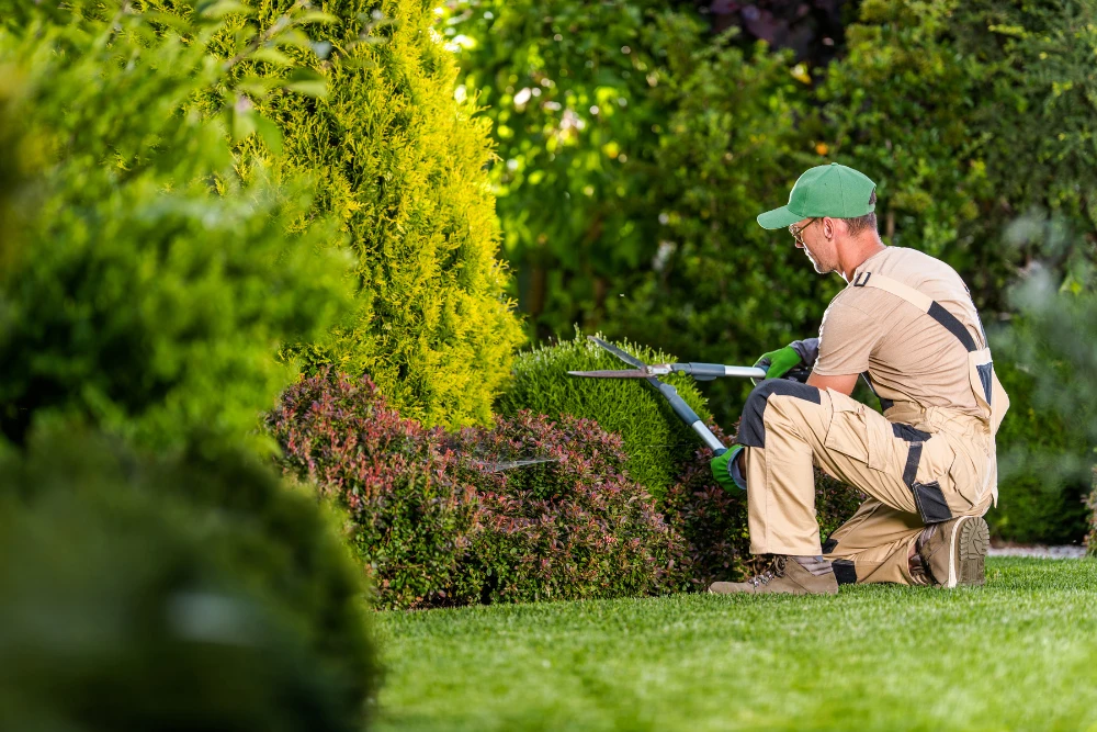 Critical strata grounds maintenance ideas that will boost your property’s occupancy