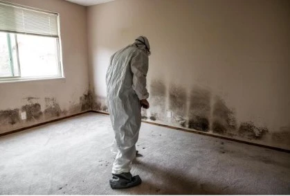 From Mold to Radon: Why a Basic Home Inspection Might Not Be Enough