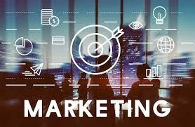 SEO Course in Hoshiarpur – Learn a Skill That Builds Your Digital Career
