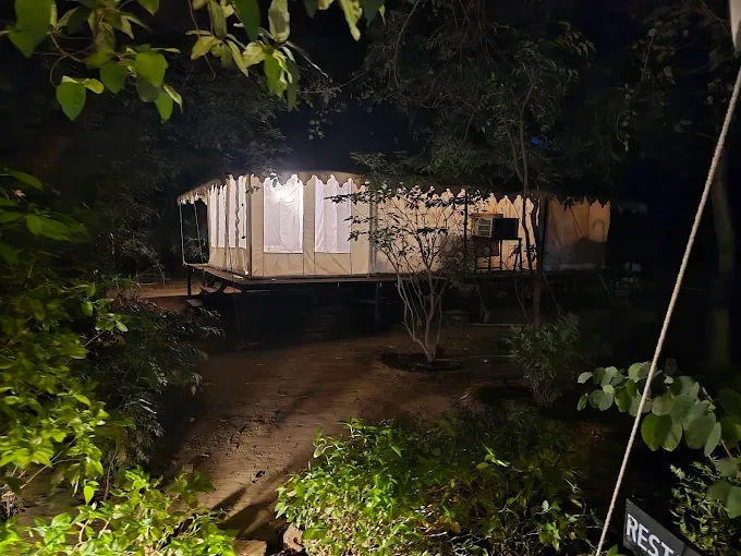 Best luxury tent, resort and premium hotel to experience in Ranthambore