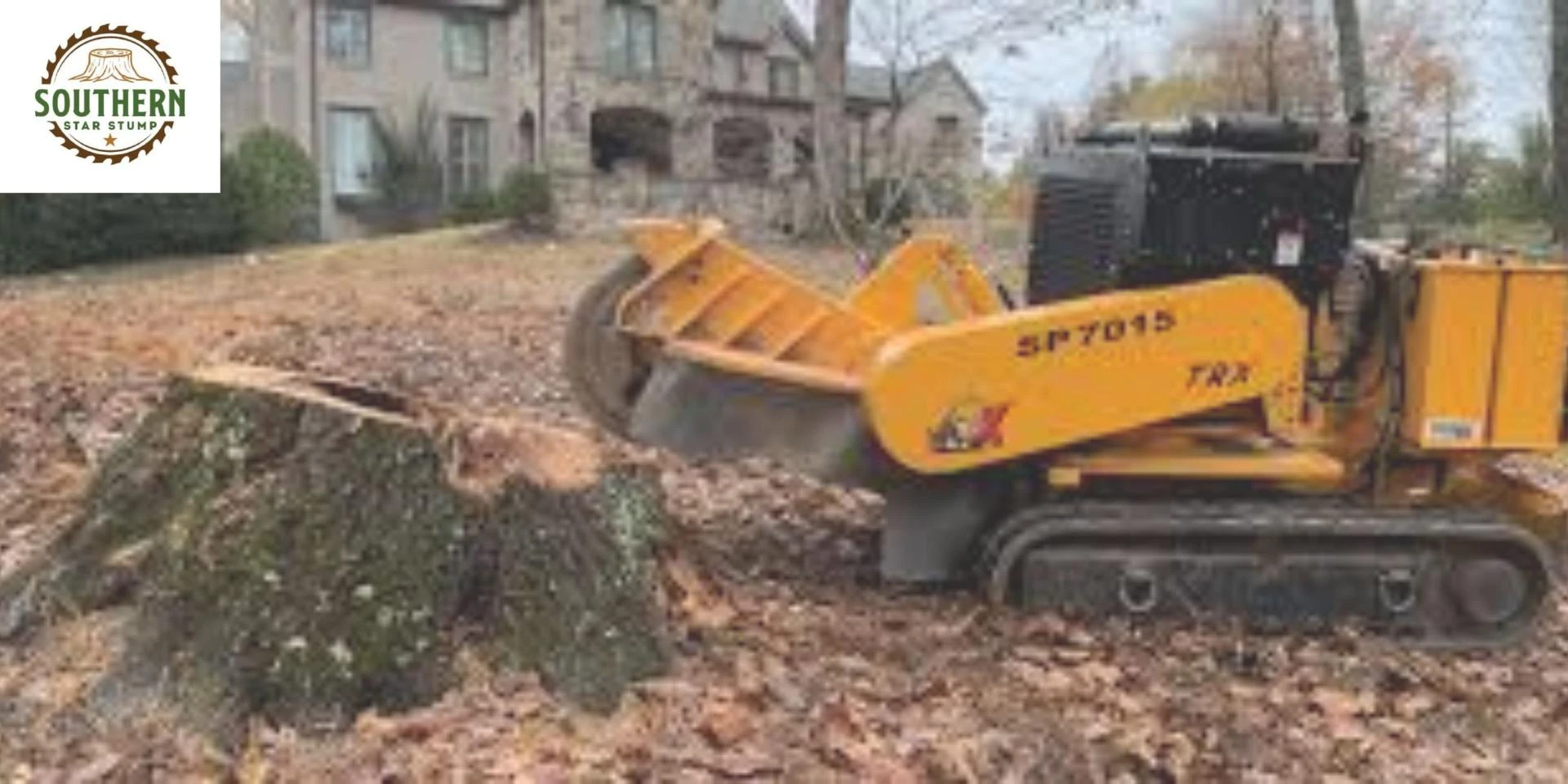 Why Homeowners in Alpharetta Are Choosing Professional Stump Removal