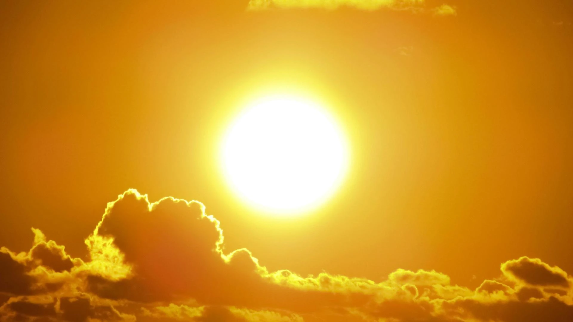 Why Rooftop Solar Is Taking Over Australian Homes and Businesses