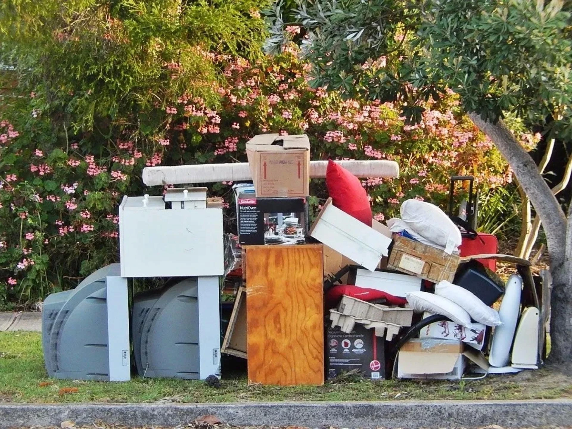 What You Should Know Before Booking a Junk Removal Service