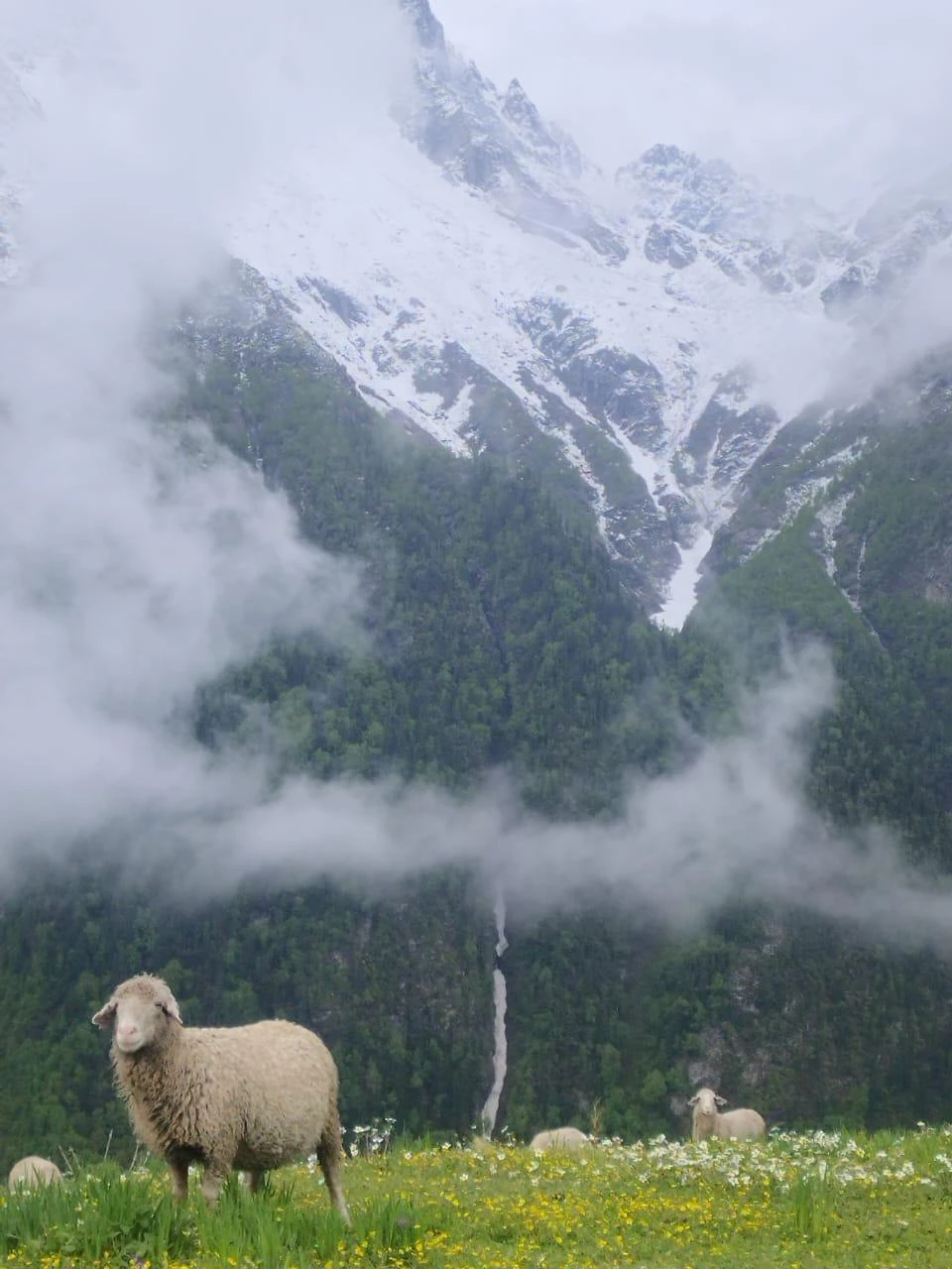  Discover the Magic of Pahadi Treks: Chandernahan, Buran Ghati, and Rupin Pass Adventures