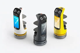 Robot food delivery in Canada: Transforming the future of hospitality and service