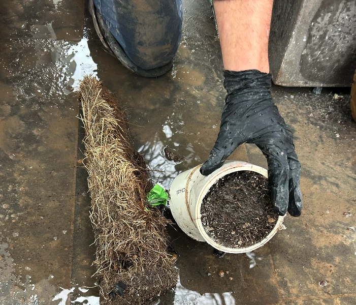Understanding Drainage Issues: Prevention, Signs & Solutions