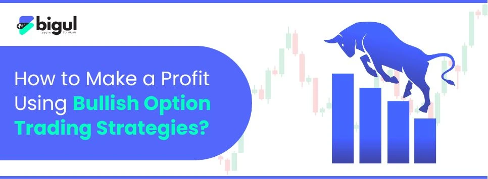 How to Make a Profit Using Bullish Option Trading Strategies?