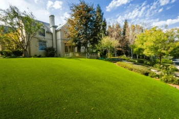 Top Questions to Ask Before Hiring an Artificial Grass Installer in Los Angeles
