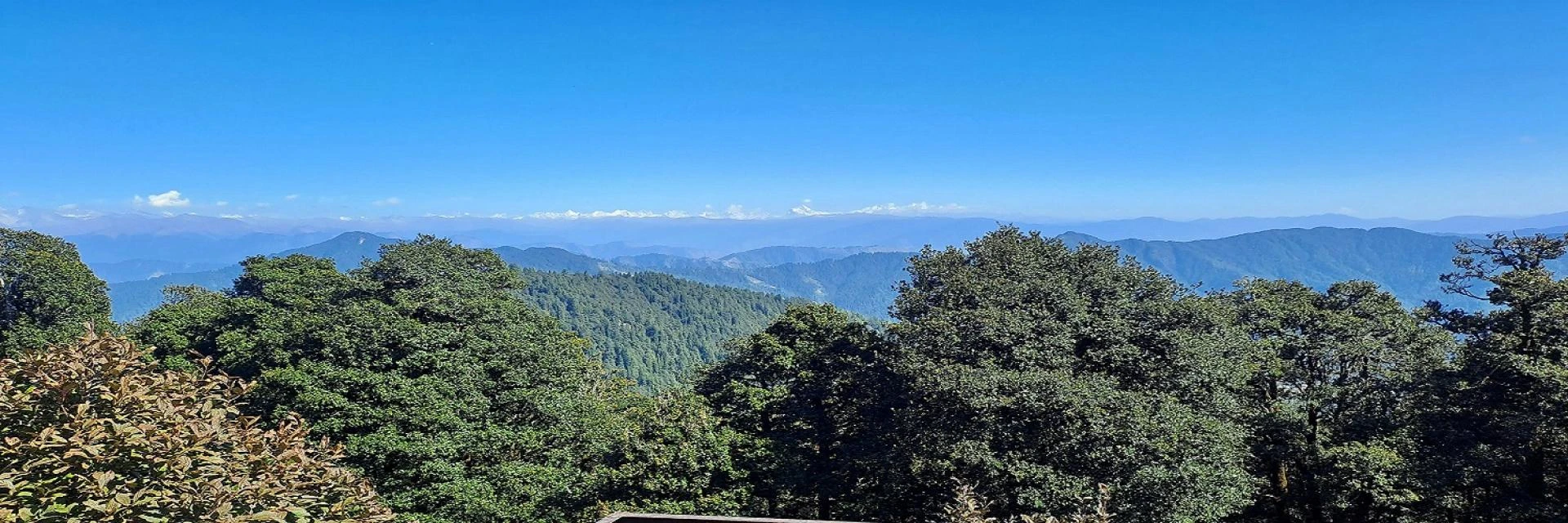 Best Tour and Travel Agency in Durgapur