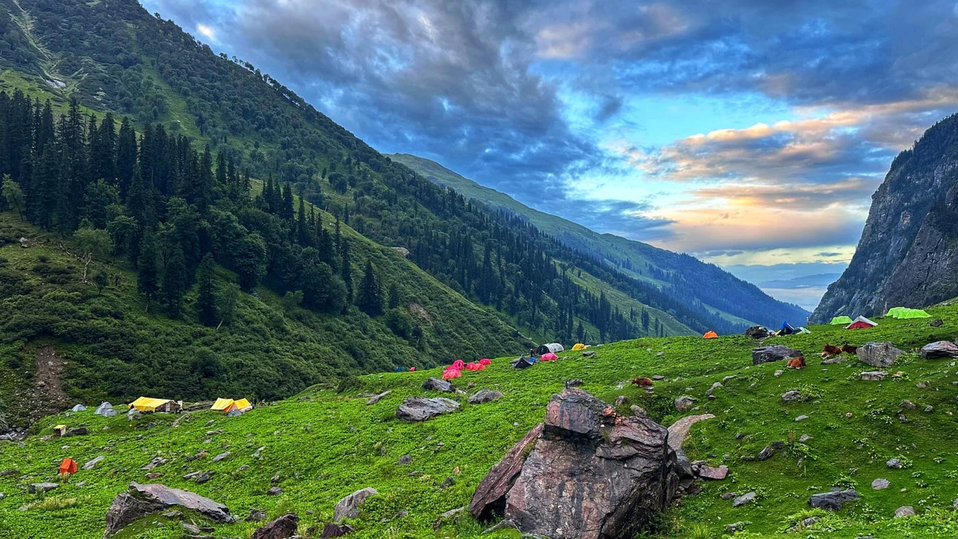 Hampta Pass Trek: A Complete Guide to the Himalayan Crossover Adventure