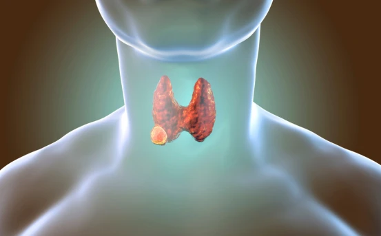 Head and Neck Cancer Treatments: A Complete Guide by Medisugges