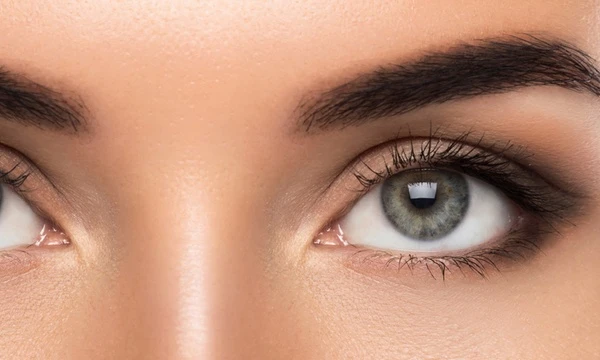 Everything You Need to Know About Hybrid Brows Elsternwick