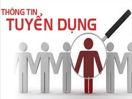 Tuyển Dụng Việc Làm Quản Lý Kinh Doanh Bảo Hiểm Khu Vực: Cơ Hội Nghề Nghiệp Thiết Yếu