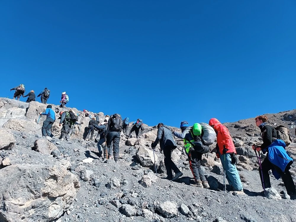 Discover the Top 5 Hidden Gems on a Private Safari Tour in Tanzania