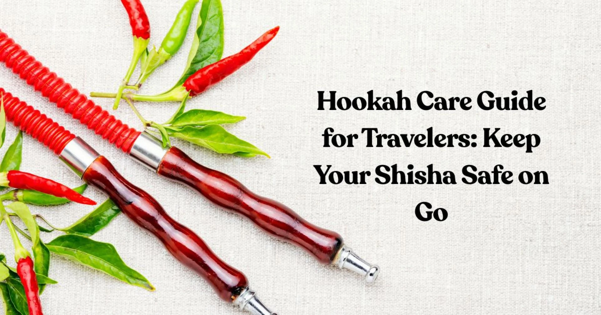 Hookah Care Guide for Travelers: Keep Your Shisha Safe on Go