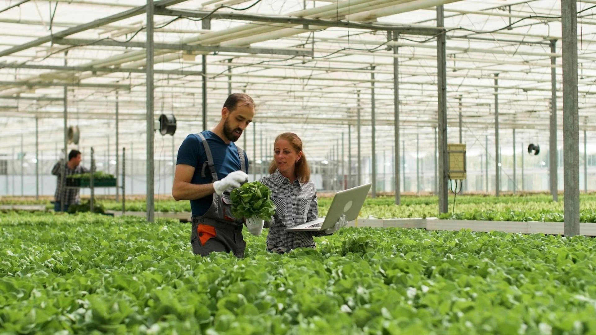 Why Eco-Minded Growers Prefer Plant-Based Solutions