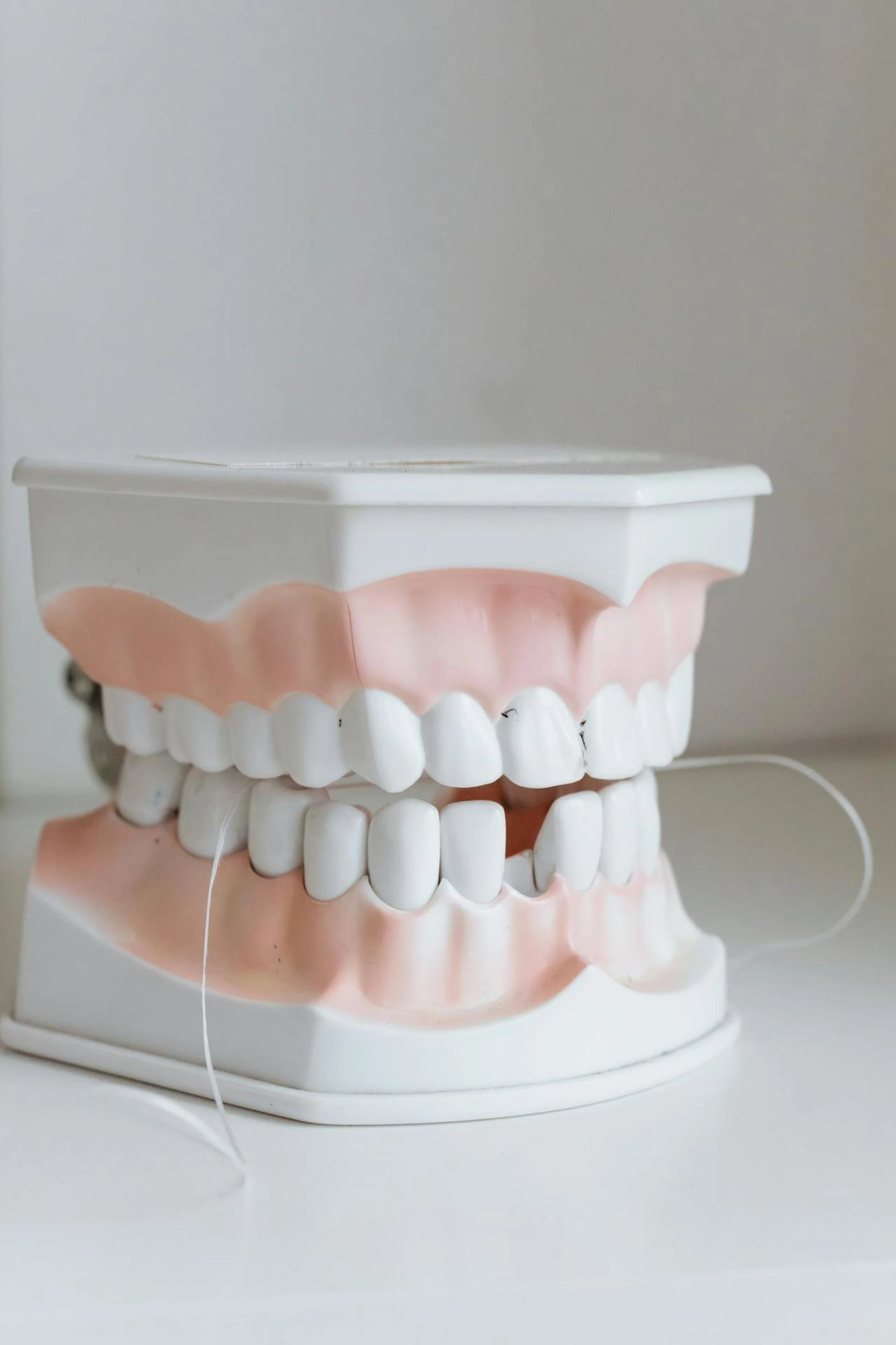 The Importance of Flossing: Myths and Facts