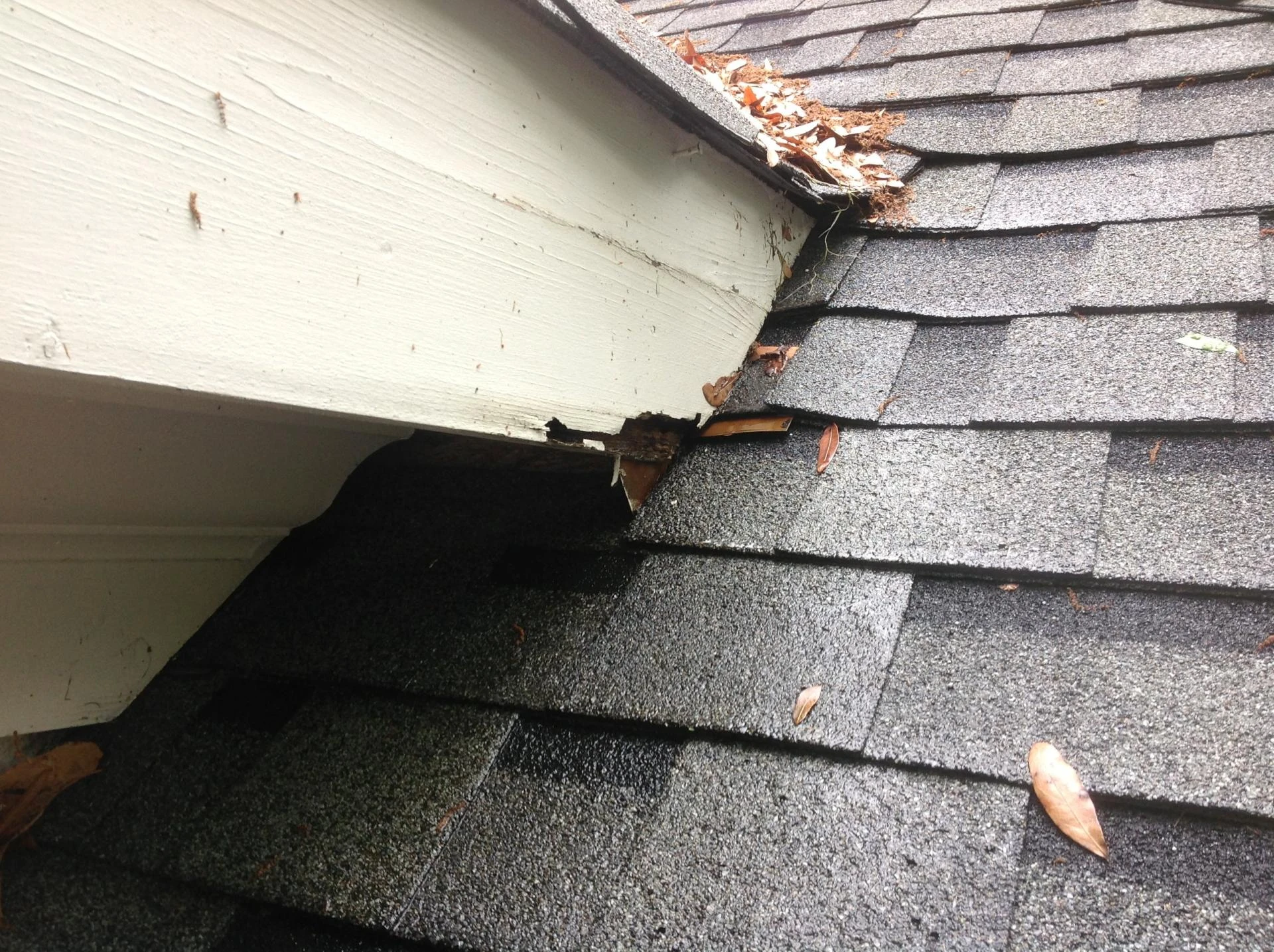 Roof Lifespan: When to Repair vs. Replace