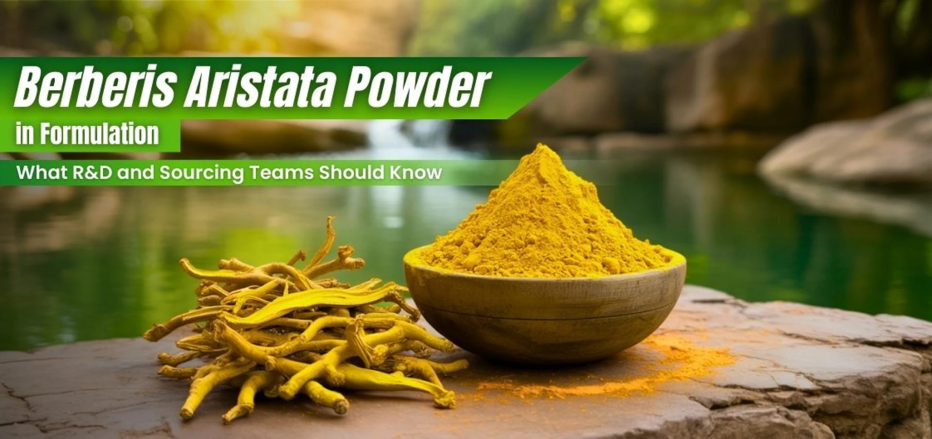 Working with Berberis Aristata Powder—What Formulators and Sourcing Teams Should Know