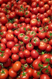 How Are Small Farmers Boosting Income with Hybrid Tomatoes?