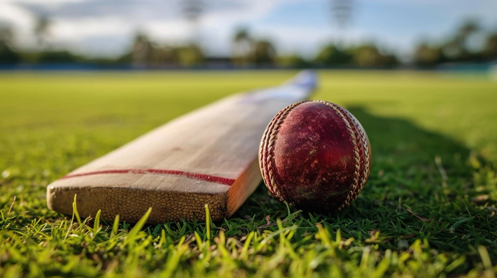 How to Choose a Cricket Bat: A Beginner’s Guide to Making the Right Pick