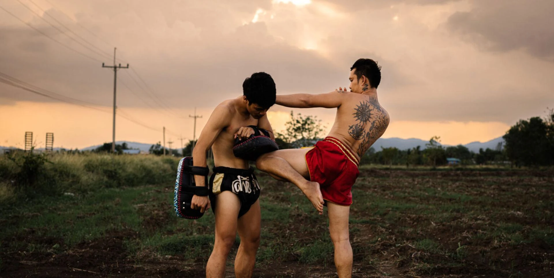 The Art of Eight Limbs: A Comprehensive Guide to Muay Thai Training.