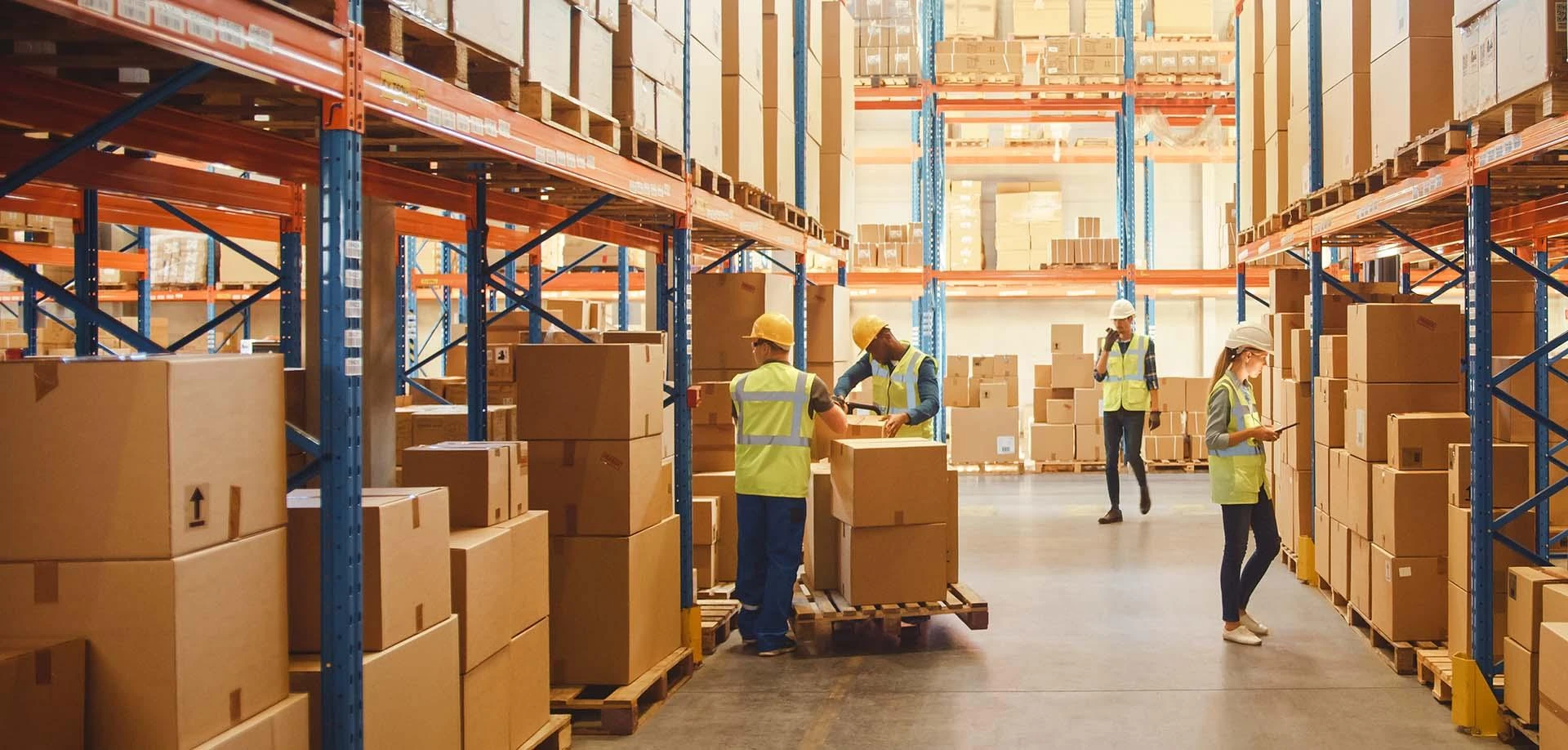 The Booming Future of Logistics, Supply Chain Management, and Warehouse Management: A Career Perspective