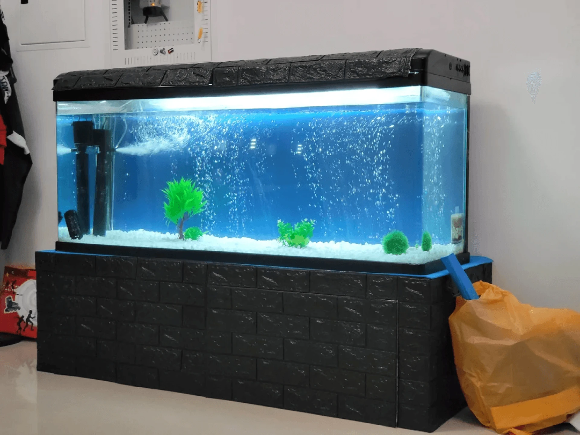 The Ultimate Guide to a 100-Gallon Fish Tank