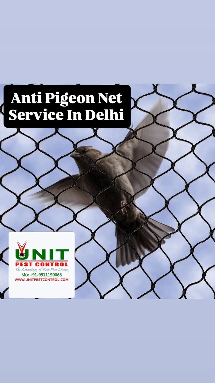 Top Benefits of Bird Netting for Homes