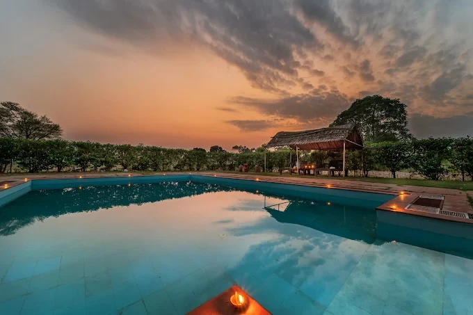 From Tents to Cottages - Best Resorts in Ranthambore for Every Traveler