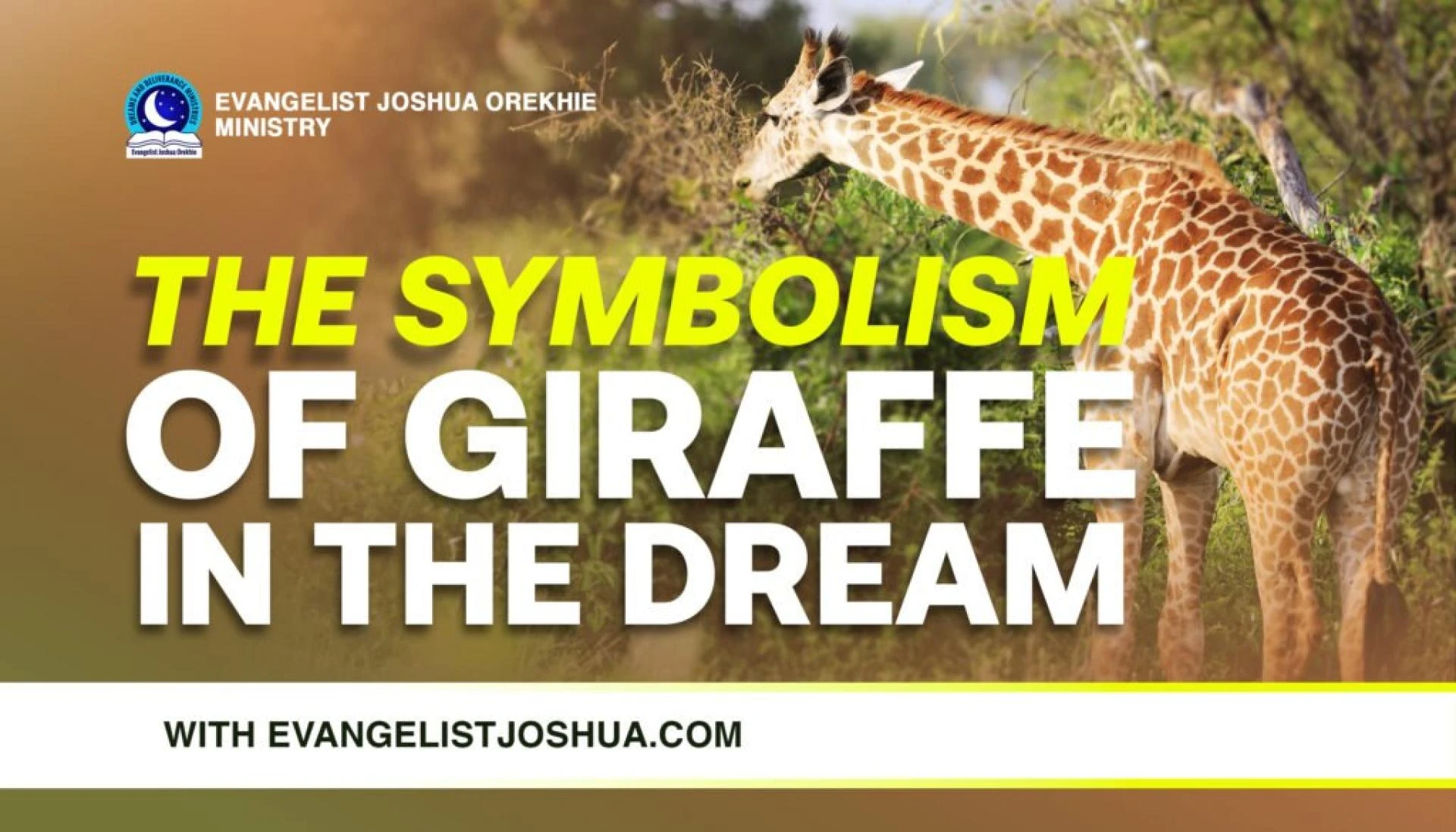 A giraffe appeared in my dream