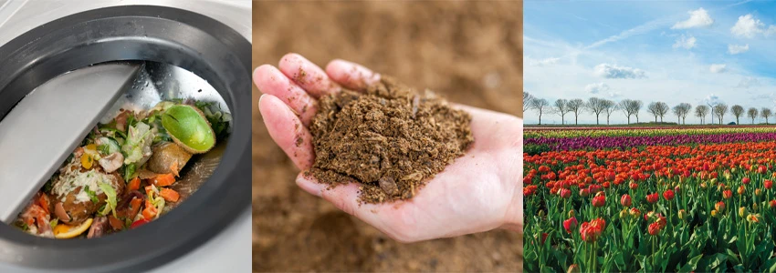 How Waste Management for Food Waste and Food Waste Management Solutions Can Transform Your Business