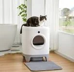 PetKit Pura X Self Cleaning Litter Box – Everything You Should Know