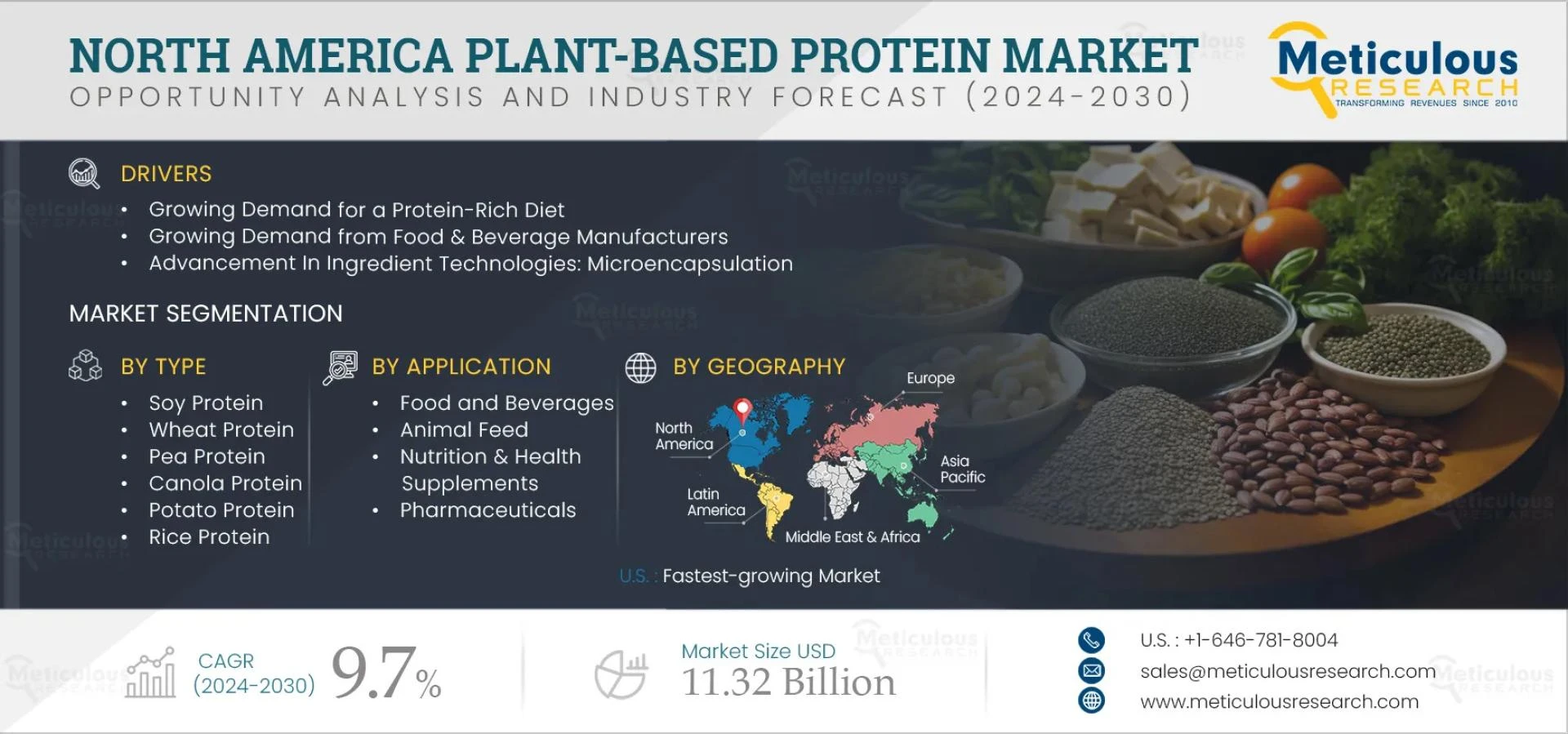 North America Plant Protein Market Outlook 2025 to 2032 Emerging Trends and Opportunities