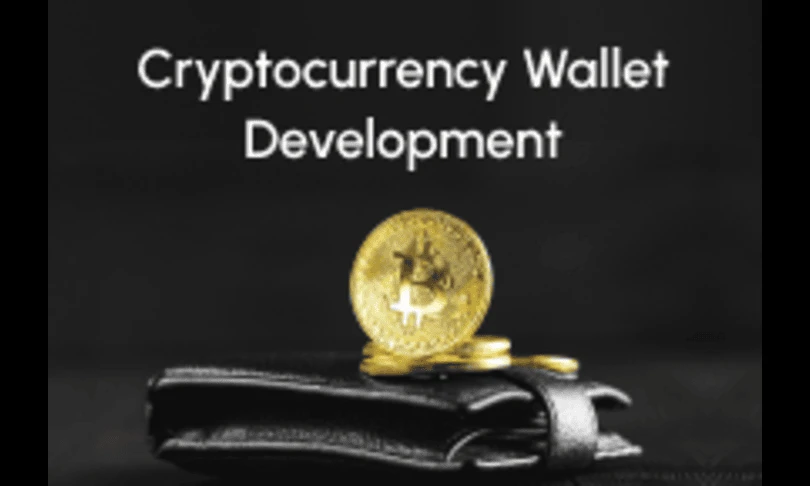 Next-Gen Crypto Wallet Development for SMBs & Startups with Coinsclone