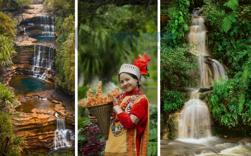 Discover the Best Meghalaya Tour Packages: Your Ultimate Adventure in the Abode of Clouds