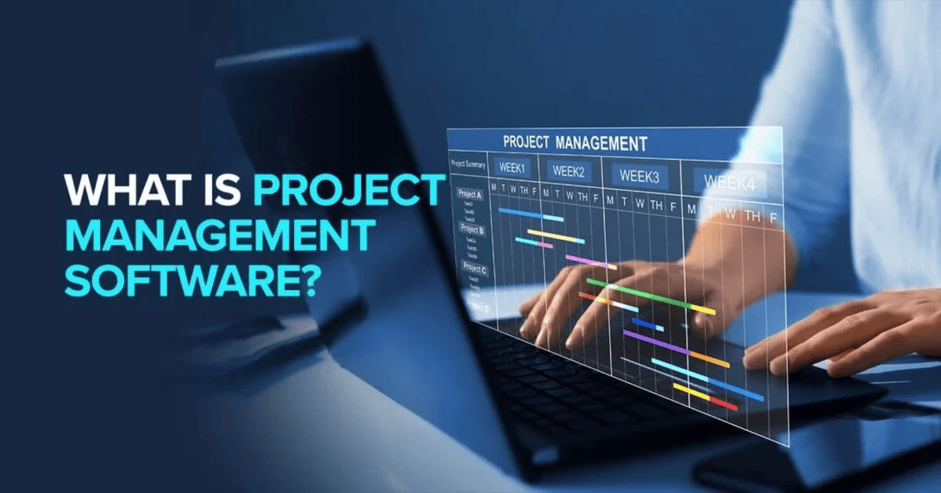 The Role of Project Management Software in Modern Team Collaboration